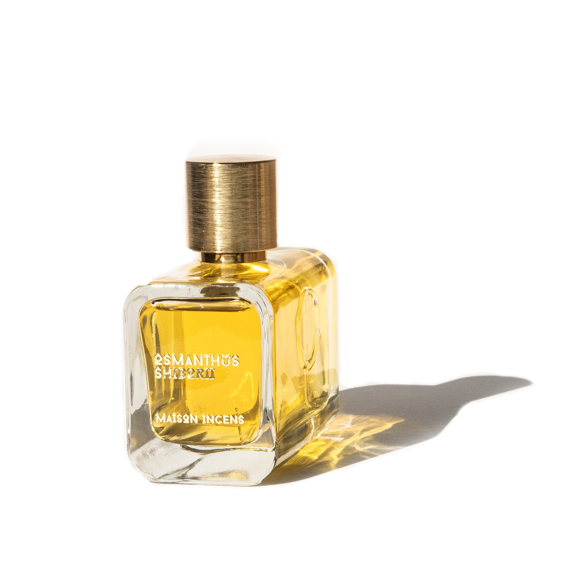 OSMANTHUS SHIBORII - Maison Incens