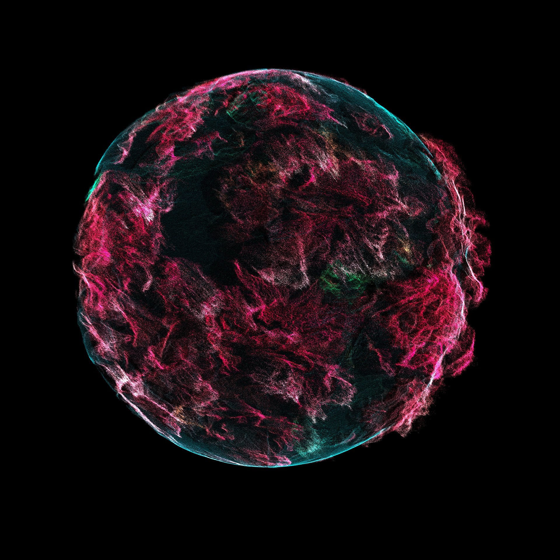 ROSE UMEII - Maison Incens